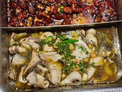 -舒来喜鱼锅(伊河路店)