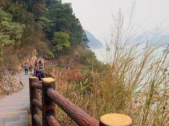 -羚羊峡古栈道森林公园