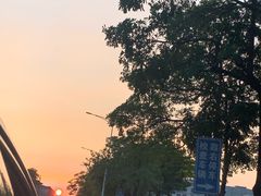 -宝安西湾红树林湿地公园