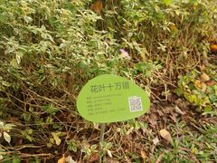 -云溪植物园