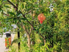 -韩家民俗村