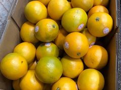 -盒马鲜生(莱蒙都会店)