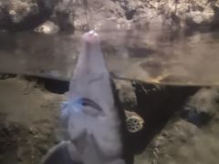 -中国湿地博物馆