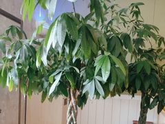 -德克士(蔚县永昌店)