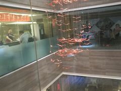 -零距离健身游泳(雁塔店)