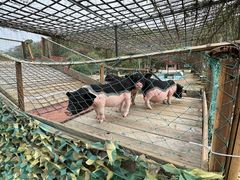 -李小龙乐园(顺德均安店)