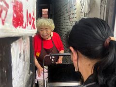 -孙奶奶葱包桧