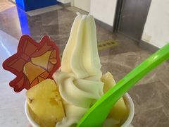 -Salud撒露欧洲冻酸奶(北苑上品店)