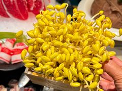 -五星桥原切肥牛火锅(怀德桥店)