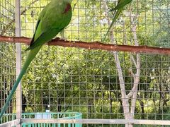 -水上乐园·欢乐世界