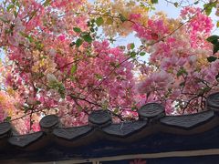 -深圳国际园林花卉博览园