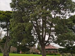 -墨尔本皇家植物园