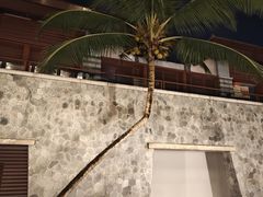 -石梅湾艾美度假酒店