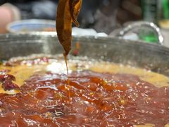 清油毛肚-五里关火锅(牛市口店)