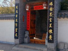 -活死人墓