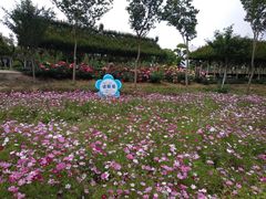 -武汉紫薇都市田园