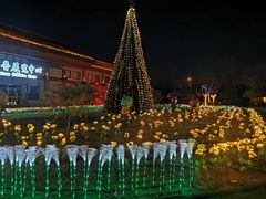 -南宫五洲植物乐园