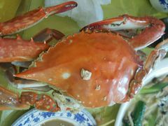 android_upload_pic-鑫渔港海鲜本地菜·山海关浑锅(东戴河店)