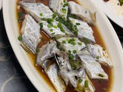 -梅子大排档