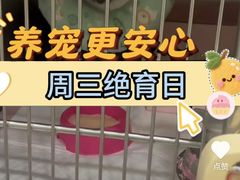 -艾吉宠物医院·疑难杂症转诊中心·猫友好(碧江路院)
