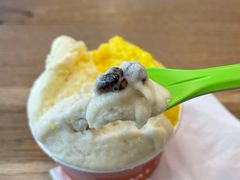 香梨茉莉可可碎-Dal Cuore 达可芮冰淇淋(陕西北路店)