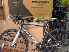 -道路口单车爱瓦士dahon大行