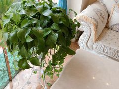 -上海沃美医疗美容门诊部