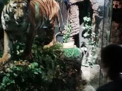 -陕西自然博物馆