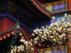 -大明幻境第一城