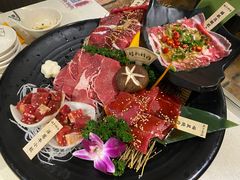 -猫爪爪原切自助烤肉(观音桥阳光世纪店)