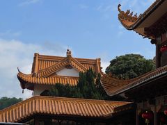 -深圳仙湖植物园