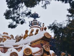 -故宫博物院(故宫)