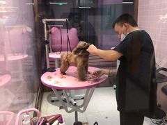 -FAELING PETS美天灵宠物(富力广场店)