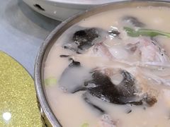 -丁老爷子苏香圆