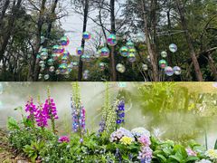 -人民公园(罗湖区)