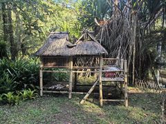 -中国科学院西双版纳热带植物园