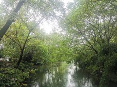 -西溪国家湿地公园