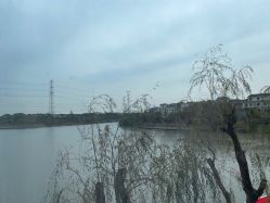 -卓玥国际月子会所(罗山路店)