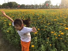 -吉的堡幼儿园(上海金山英慈园)