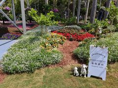 -深圳仙湖植物园
