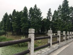 -尚贤河湿地