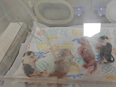 -北京佳信宠物医院