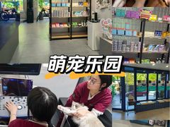 -伟伟宠物医院·CT影像中心·瑞派犬猫综合性门诊(汉口总院)