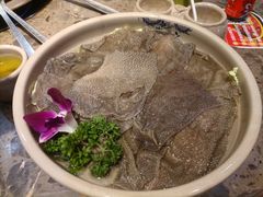 小龙坎毛肚-小龙坎火锅(双林店)