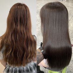 -YESIDO椰岛造型