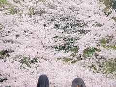 -戴尔DELL电脑官方店·售后维修服务站