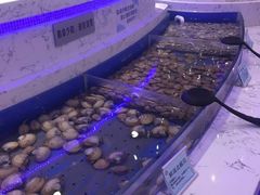 -澜悦港海鲜体验主题餐厅