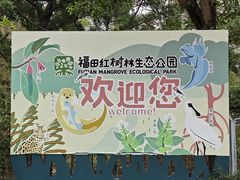 -福田红树林生态公园