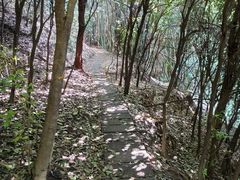 -南山植物园