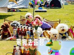 -圣露庄园·亲子活动乐园·露营·团建婚礼